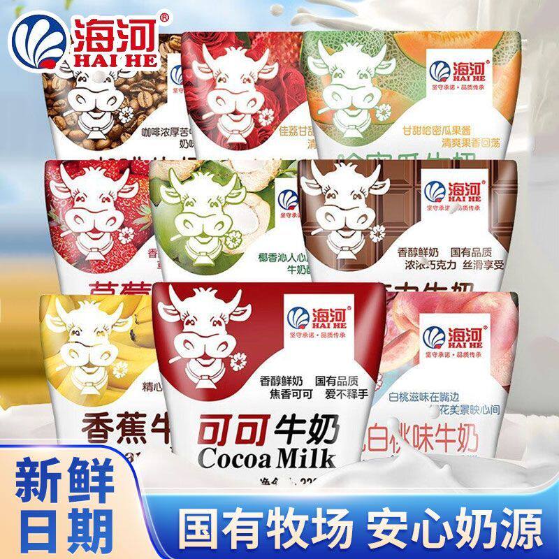 海河牛奶220ml整箱10袋学生早餐奶风味奶巧克力草莓多口味营养奶