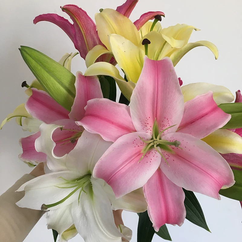百合花鲜花花束