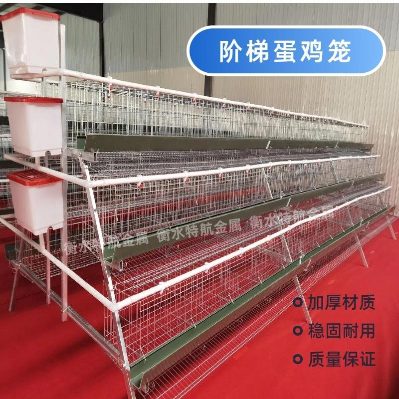 多层阶梯式蛋鸡笼养殖家用A字形层叠鸡笼冷热镀锌蛋鸡笼