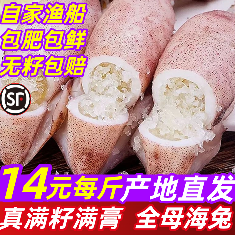 籽乌海兔子鲜活小鱿鱼满籽满膏全籽冷冻墨鱼仔笔管鱿鱼海鲜水产