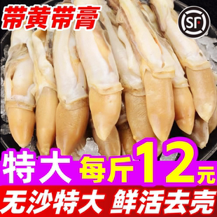 蛏王肉蛏子肉鲜活去壳现剥纯肉竹节蛏带黄蛏子王肉海鲜水产圣子肉