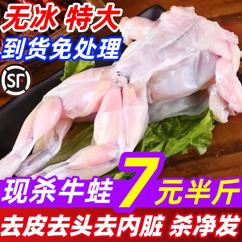 牛蛙超大特大鲜活青蛙新鲜冷冻田牛蛙/蛙类制品
