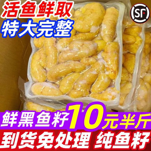 鱼籽新鲜鱼子鲜活黑鱼籽鱼蛋冷冻鱼卵鱼泡鱼杂清江鱼籽商用海鲜