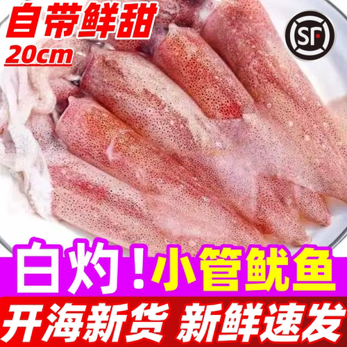 新鲜小管鱿鱼白灼鱿鱼冷冻生鲜小乌贼大鱿鱼海鲜鲜活水产大笔管鱼