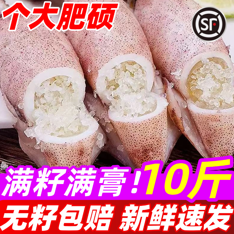 籽乌海兔子鲜活小鱿鱼满籽满膏全籽冷冻墨鱼仔笔管鱿鱼海鲜水产