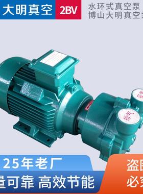 厂家供应2BV2061水环式真空泵1.45KW铸铁不锈钢水环真空泵泵