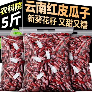 5斤农科院云南红皮瓜子新货甜糯带壳原味生葵花籽仁年货坚果零食