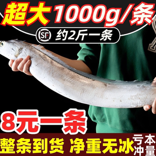 带鱼新鲜特大整条无冰刀鱼鲜活冷冻海鲜水产油带鱼中段10斤整箱