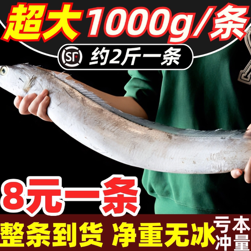 带鱼新鲜特大整条无冰刀鱼鲜活冷冻海鲜水产油带鱼中段10斤整箱