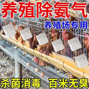 养殖场除臭剂猪牛羊圈鸡舍农村旱厕厕所空气净化去异味留香除氨气