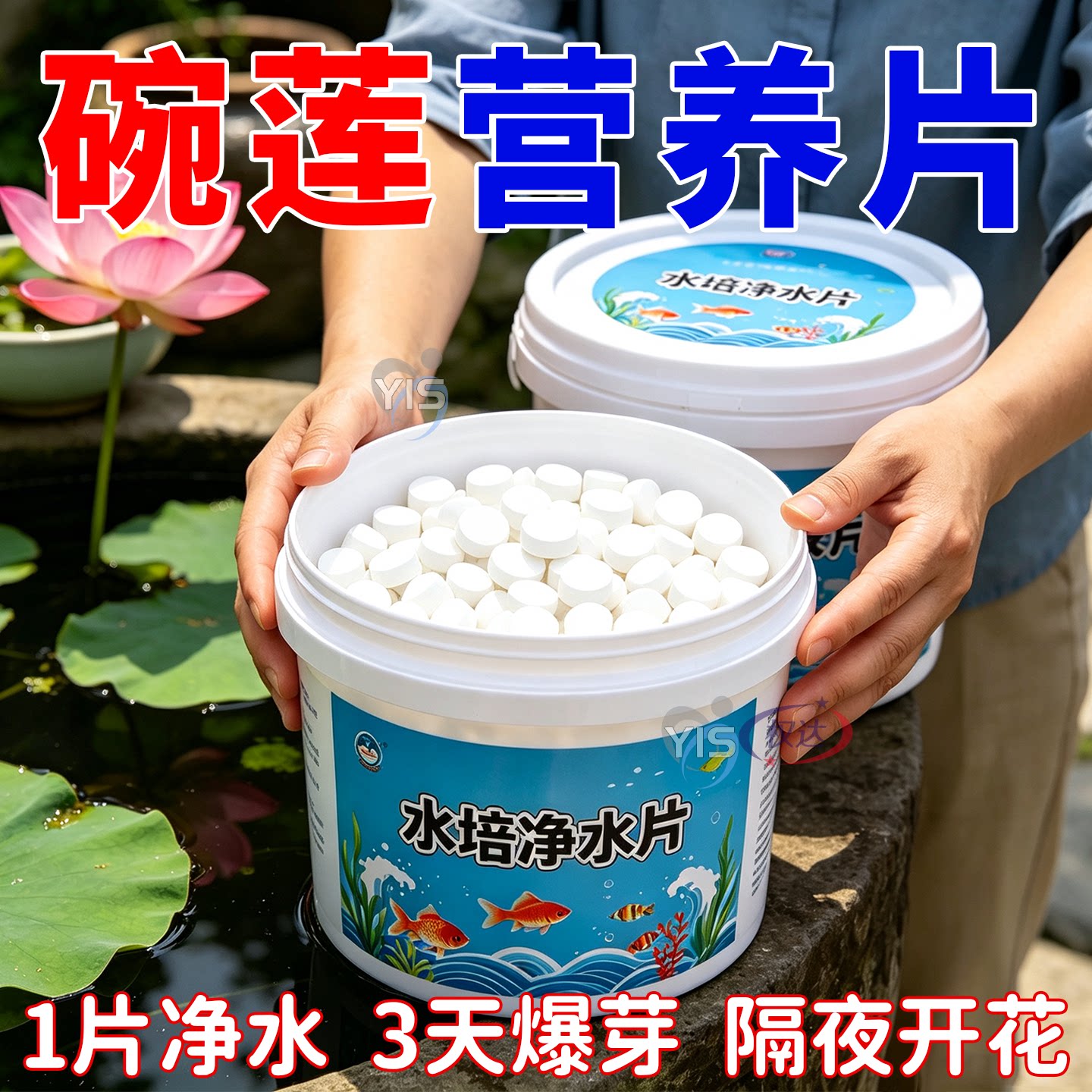 碗莲净水片荷花鲜花保鲜消毒片水培植物专用净水片除臭杀菌净水剂