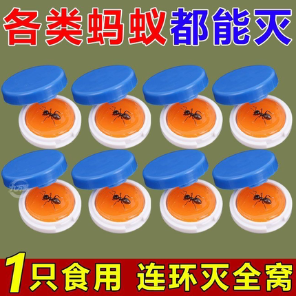 灭小黄蚂蚁药家用非无毒一锅全窝端室内杀驱防除黑红火蚁饵剂强力