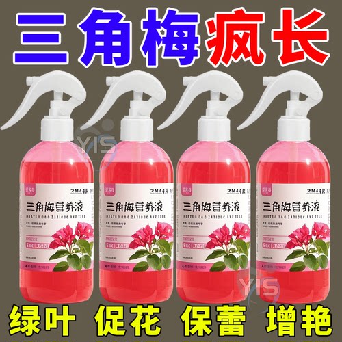 三角梅开花专用营养液促花保蕾