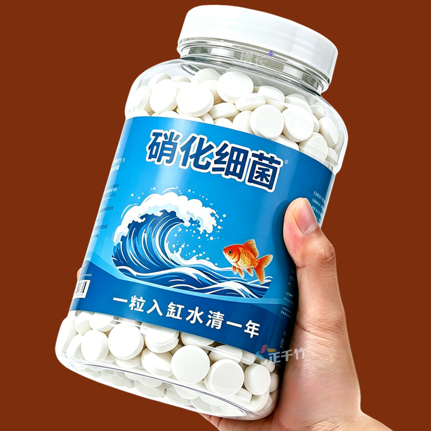 养鱼硝化细菌片改善底床净化水质