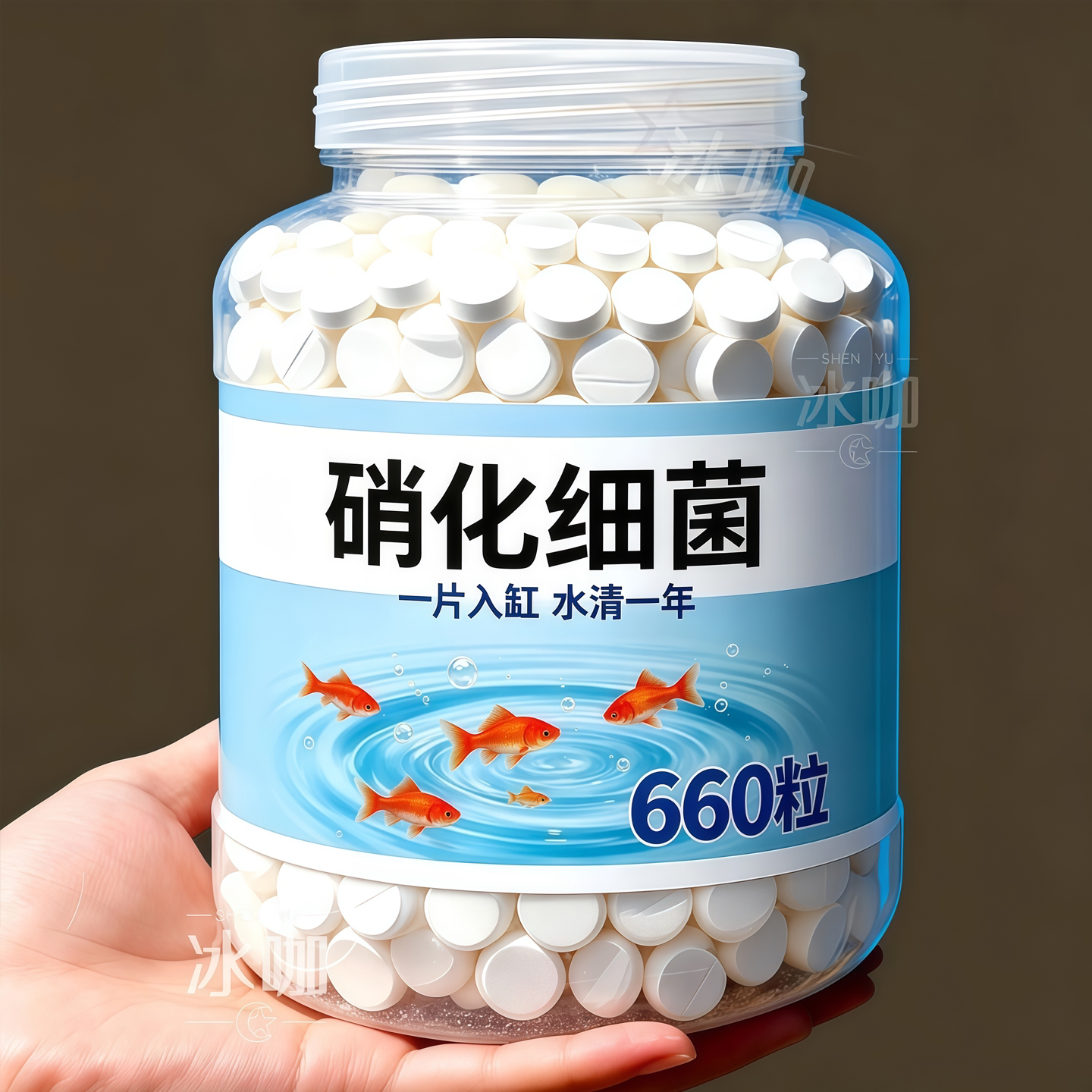 建立硝化系统(净水呵护鱼儿)