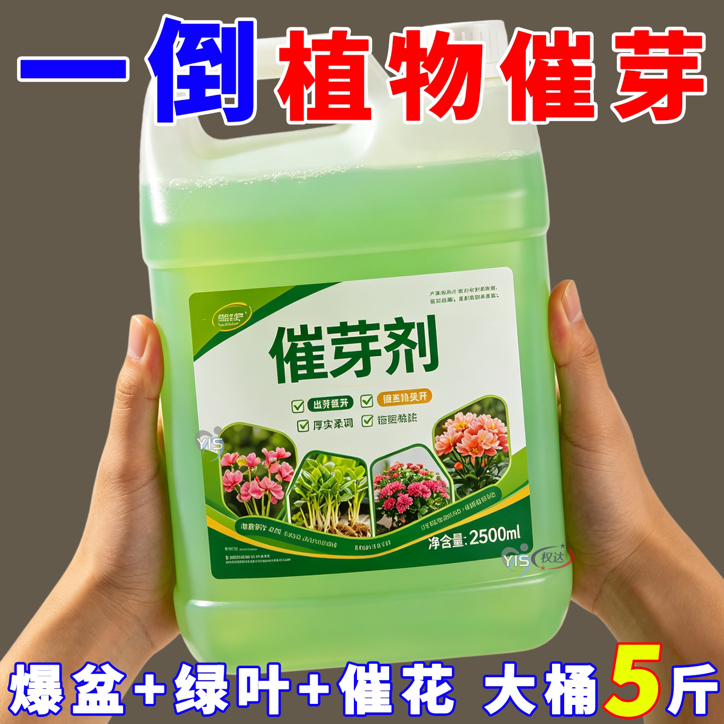 浓缩催芽剂【解决老桩不出嫩芽】