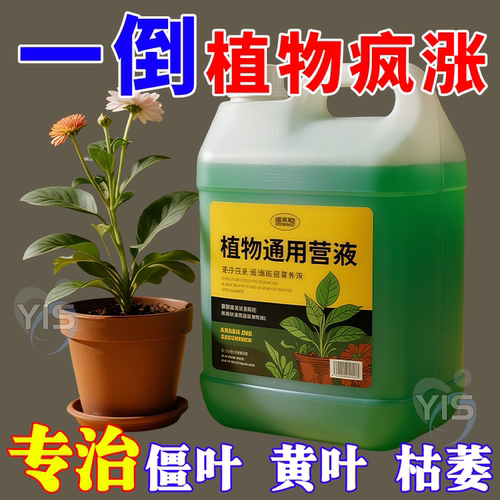 营养液植物通用型绿萝富贵竹肥料