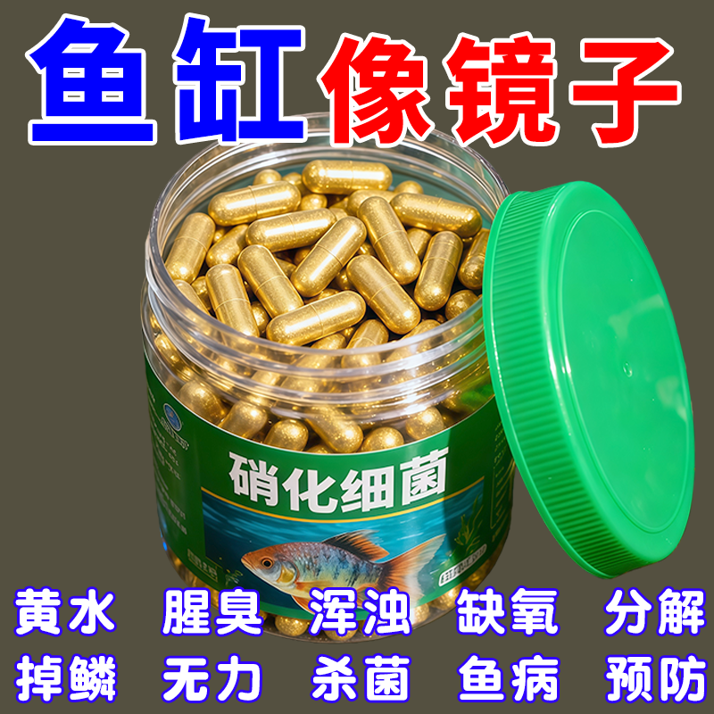 硝化细菌鱼缸用专用胶囊净水剂颗粒活菌干粉水质稳定净化水族鱼用