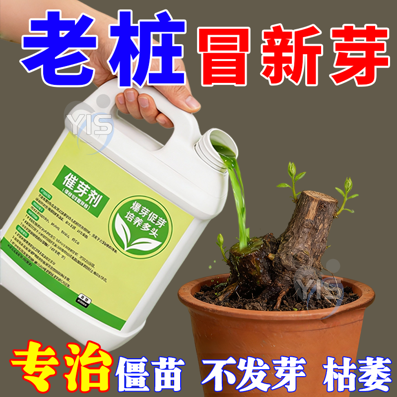 老桩催芽剂花卉营养液促芽僵苗快速发新芽防黄叶生根催芽绿植通用,鲜花速递/花卉仿真/绿植园艺,家庭园艺肥料,淘宝优惠券,粉丝福利购,淘宝优惠卷