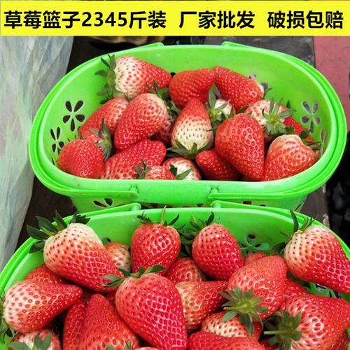 草莓篮塑料篮子篮斤斤斤斤篮鸡蛋篮一次性樱桃篮框子