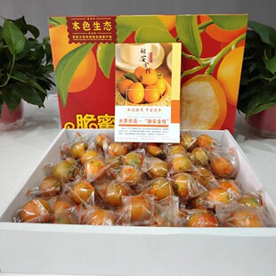 广西融安金桔第三代脆蜜金柑新鲜水果当季纯甜无籽金桔礼盒包邮