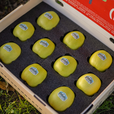 新疆喀什秋冈雪山瑞雪苹果新鲜水果当季晚采脆甜苹果礼盒送礼包邮