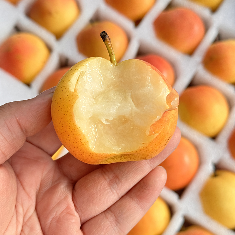 辽宁鞍山南果梨新鲜水果当季东北特产南国梨小梨子整箱包邮