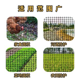 塑料网格土工格栅圈玉米网养鸡围网大棚兜水网栅栏小养殖网护栏