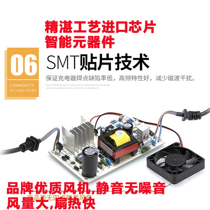 13串48伏v电动车电瓶三元锂离电池充电器54.6V2A3A6A8a10安品字头