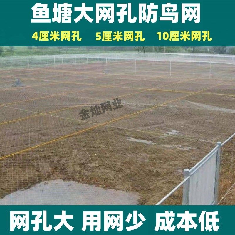 鱼塘尼龙防鸟网厘米厘米网眼公分孔池塘泥鳅青蛙龙虾养殖天网,农机/农具/农膜,农用防鸟网,淘宝优惠券,粉丝福利购,淘宝优惠卷