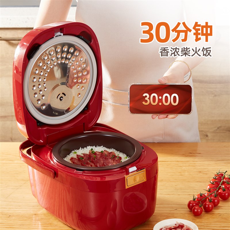 依立紫砂电饭煲2L3.5升大容量煲仔饭锅电炖锅多功能煲汤煲粥锅