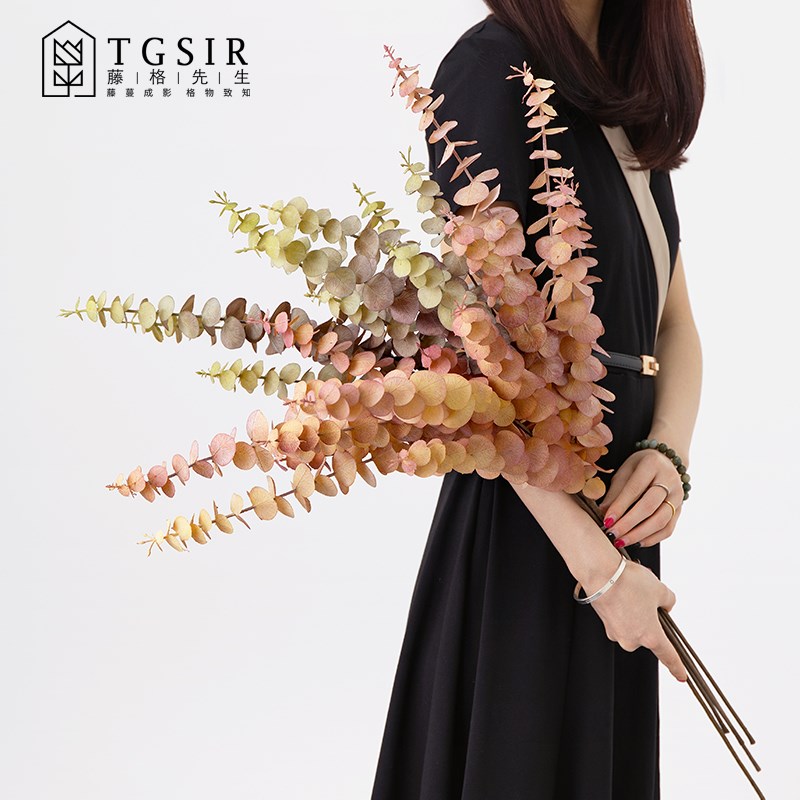 5叉长枝尤加利叶仿真花客厅高档装饰花卉假花干花插花圆桉叶绿植