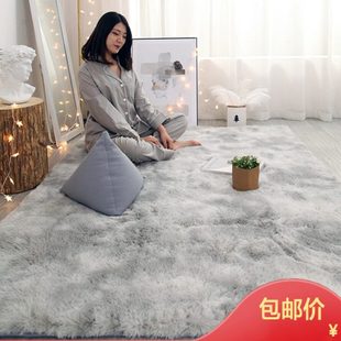 包邮 新疆 客厅地毯卧室满铺房间茶几床下毛绒家用床边少女毛毯地垫