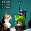 生态瓶微景e观小型办公桌面鱼缸造景斗鱼玻璃缸水族客厅创意免换