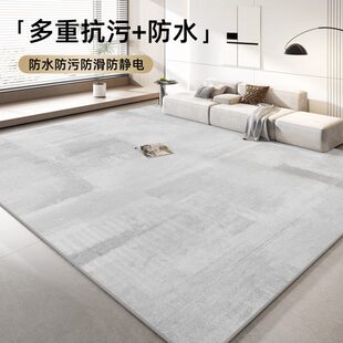 免洗可擦房间地垫家用卧室防水床边毯 客厅地毯轻奢高级感2024新款