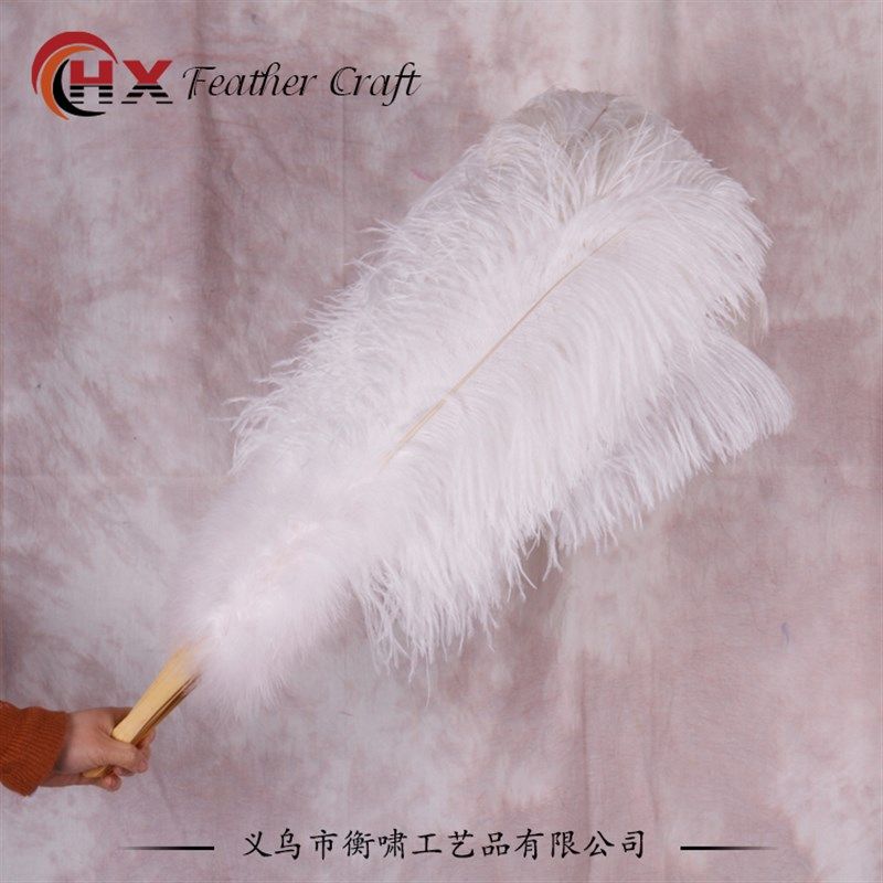 白色鸵鸟羽毛扇子 舞蹈肚皮舞表演走秀酒吧装饰道具大号羽毛扇子,家居饰品,工艺扇/团扇/喜扇/折扇,淘宝优惠券,粉丝福利购,淘宝优惠卷