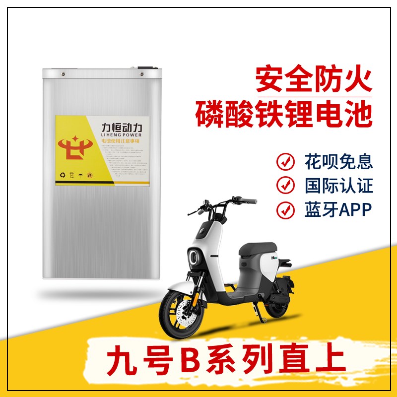 九号电动车B30C电池大容量48V锂电磷酸铁锂B35B40B6P5B80B90B110P