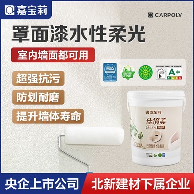 嘉宝莉罩面漆艺术漆室内墙面乳胶漆保护防水透明水性哑光罩面油漆