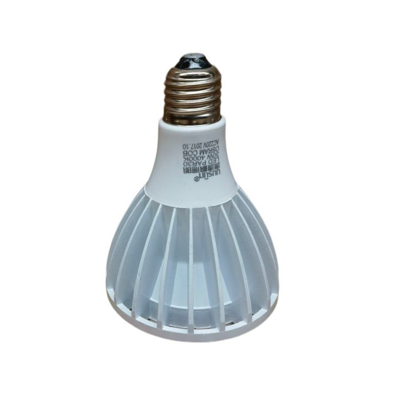 P帕灯灯泡2WWE27螺口COB暖光LED轨道射灯5度度灯