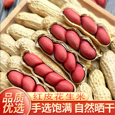 红皮花生米正宗东北带壳500g农家新鲜干货原味花生米带壳红衣花生