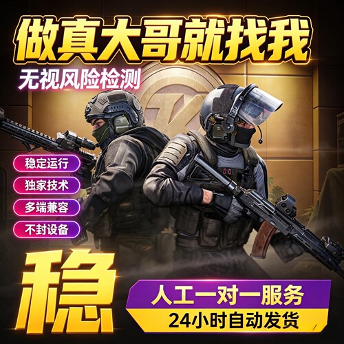 暗区无限pc端国服国际服wegame上分魔法神器