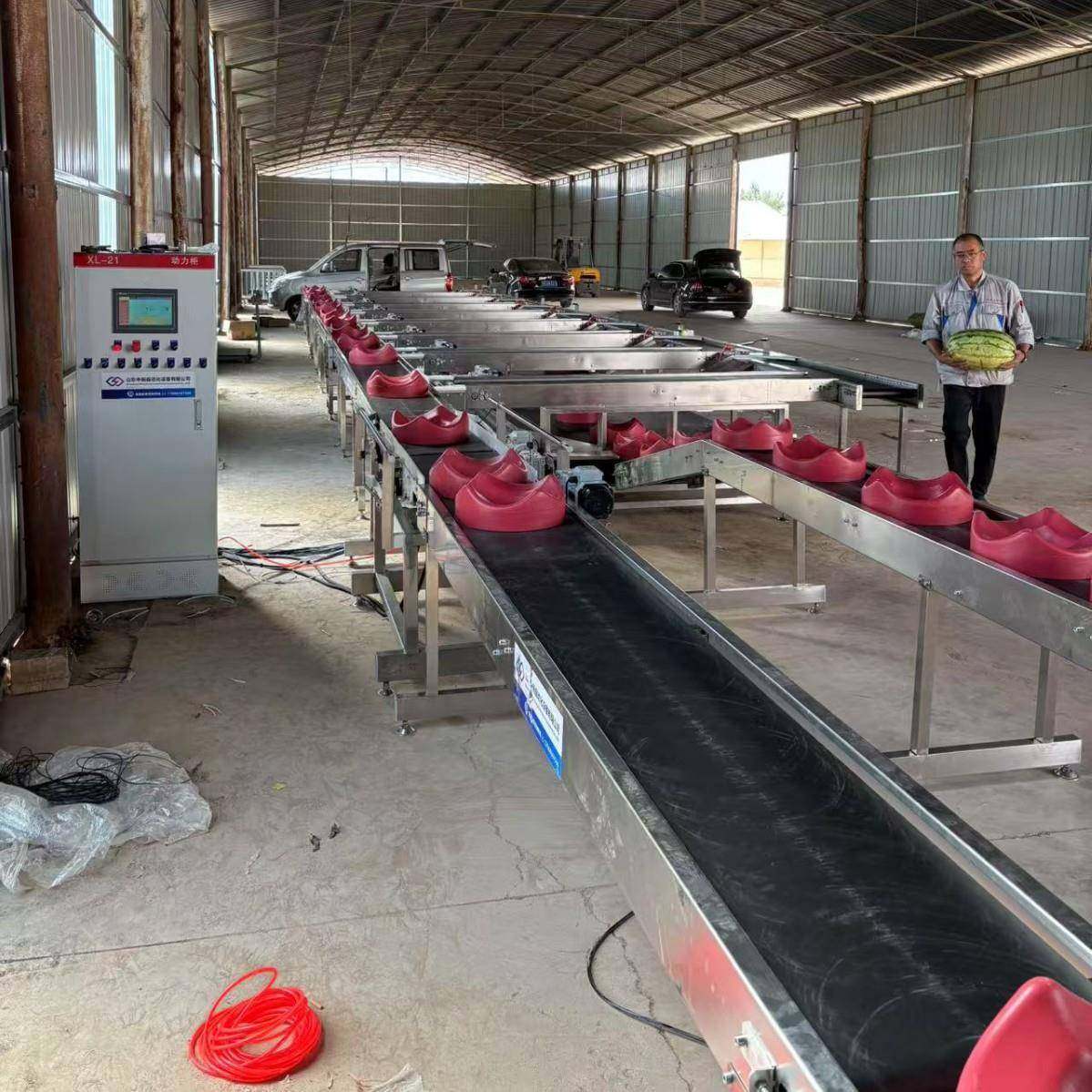 全自动水果重量分选机西瓜密瓜级分级秤芒果脐橙无损伤挑选机,清洗/食品/商业设备,其他食品加工设备,淘宝优惠券,粉丝福利购,淘宝优惠卷