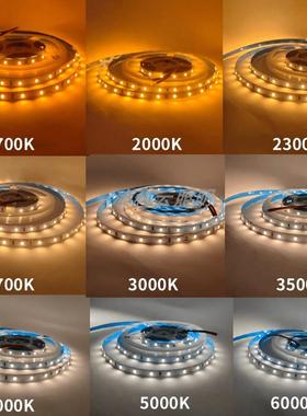 12V24V低亮度4.8W285准色温1700K2000K200K2700K000K5000K灯带