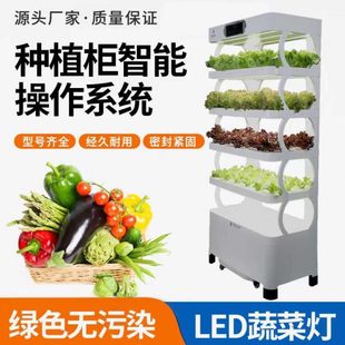 无土栽培设备智能种植机水培蔬菜家庭室内带灯植物工厂水耕种菜架
