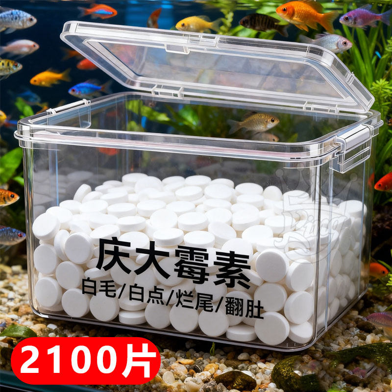 庆大霉素鱼病专用药烂身烂尾白点白毛掉磷蒙眼杀菌消炎康复消杀片