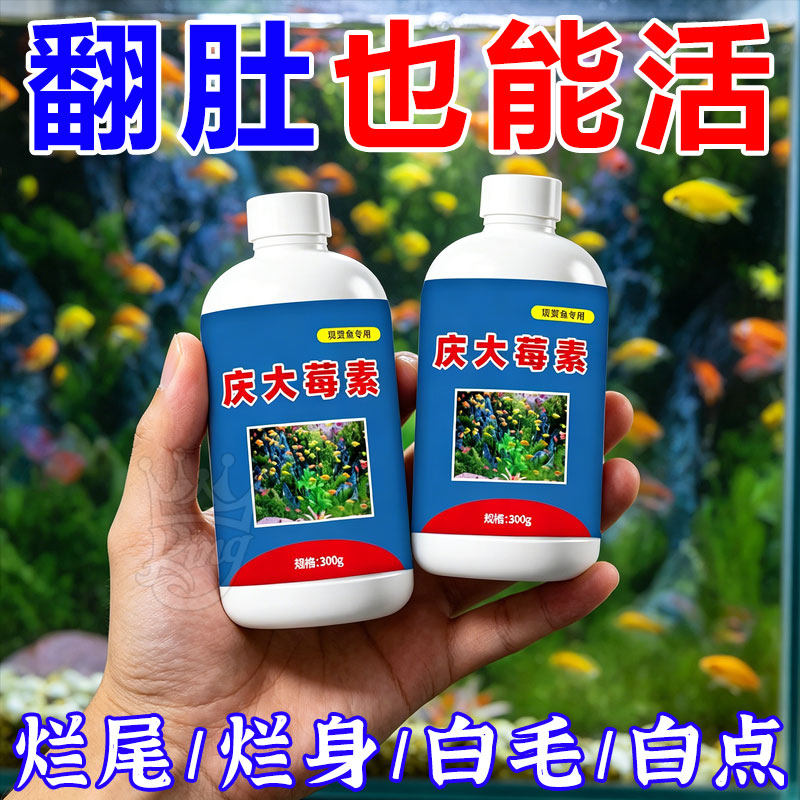 庆大霉素液金鱼病专用药烂身烂尾白点白毛掉磷蒙眼杀菌鱼缸通用型