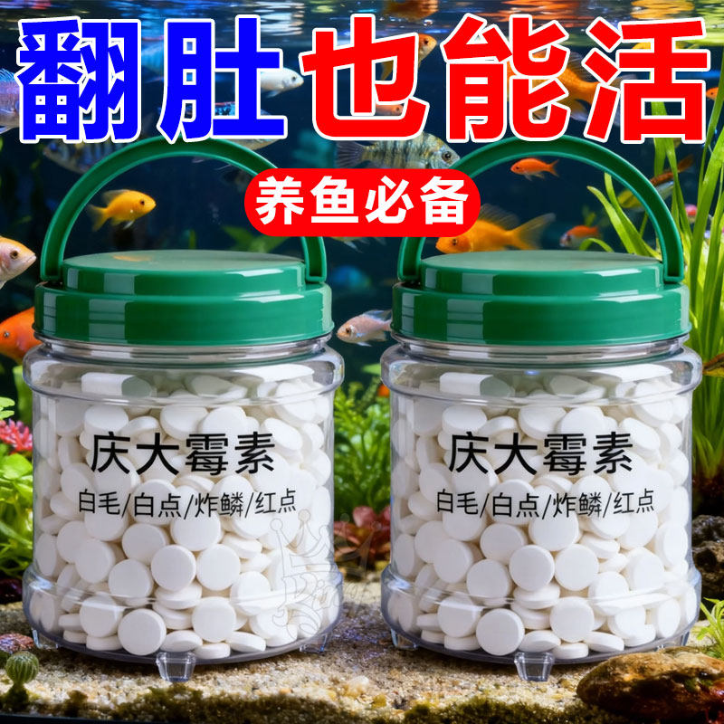 庆大霉素鱼病专用药烂身烂尾白点白毛掉磷蒙眼杀菌消炎康复消毒药