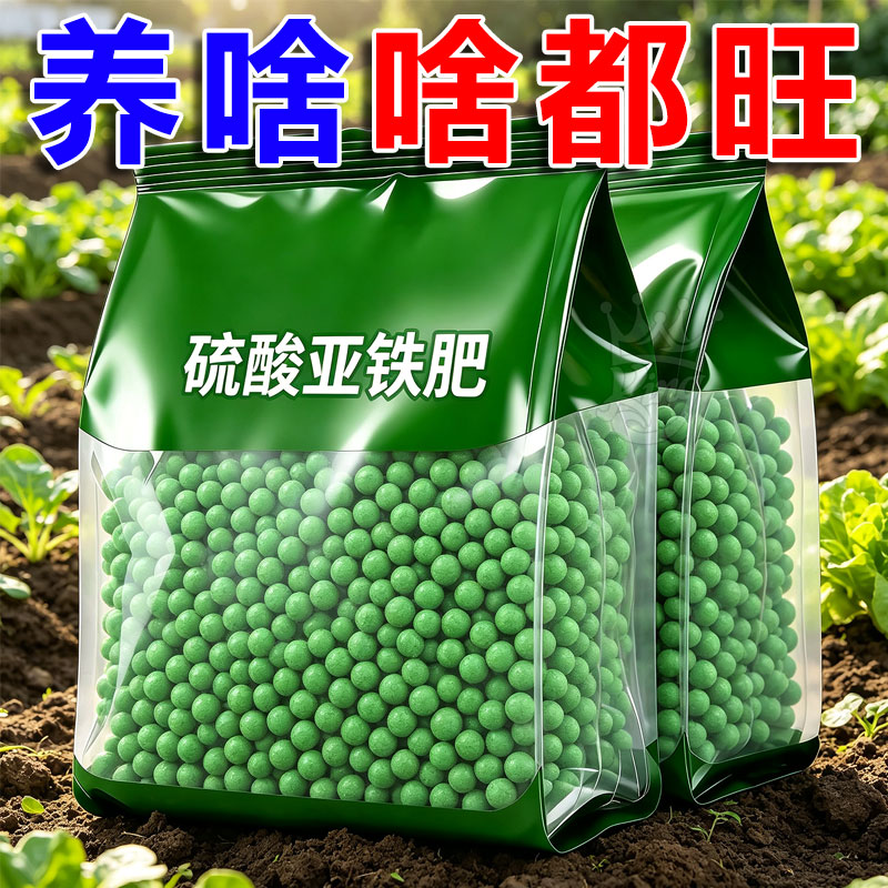 硫酸亚铁酸性栀子花专用水溶肥
