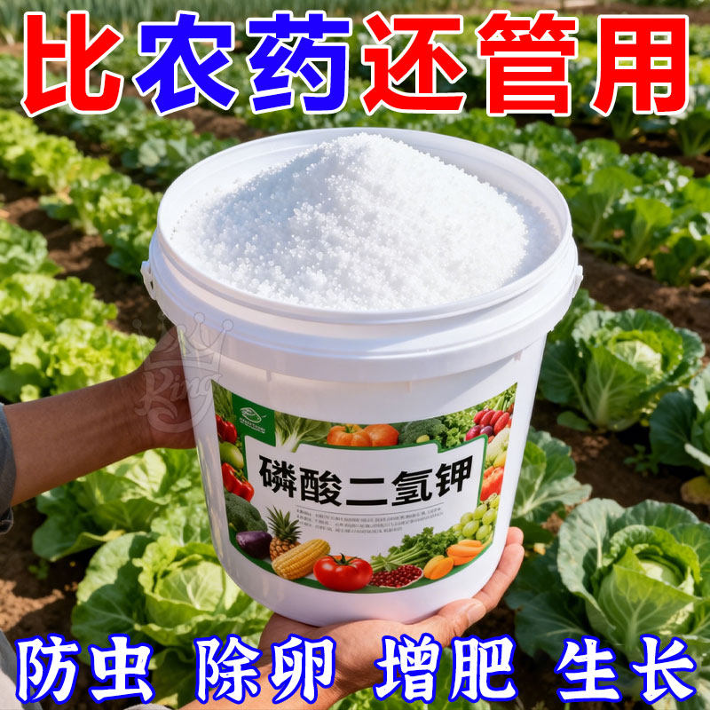 磷酸二氢钾叶面肥促花养花通用