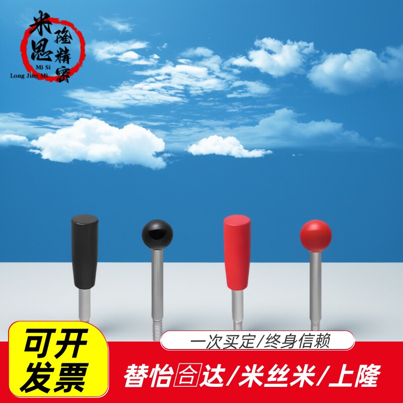 304不锈钢长手柄固定握柄LBGS6/8/10/12-63/80/100/125/160-R/B